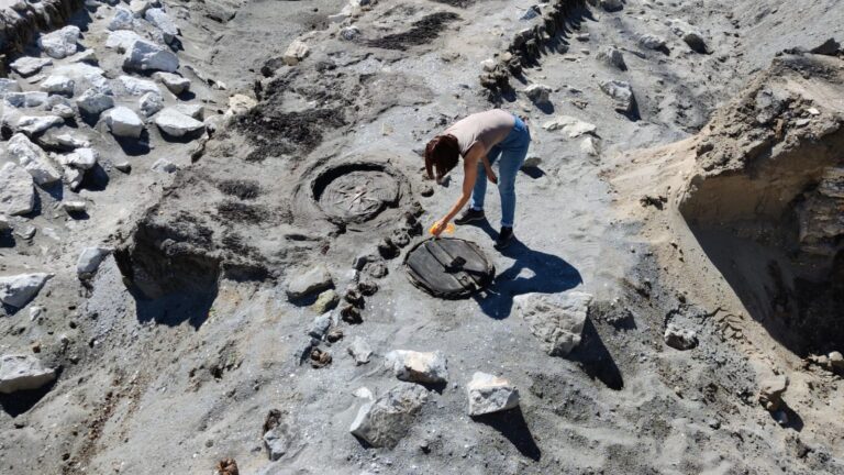 Misteriosi Reperti E Strutture Emergono Dal Lido Di Venezia Durante Uno