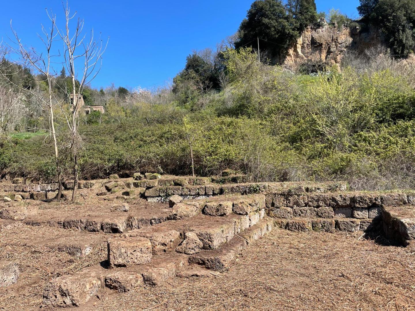 Tesori Sotto Gli Alberi E I Prati Recuperato Il Tempio Di Giunone A