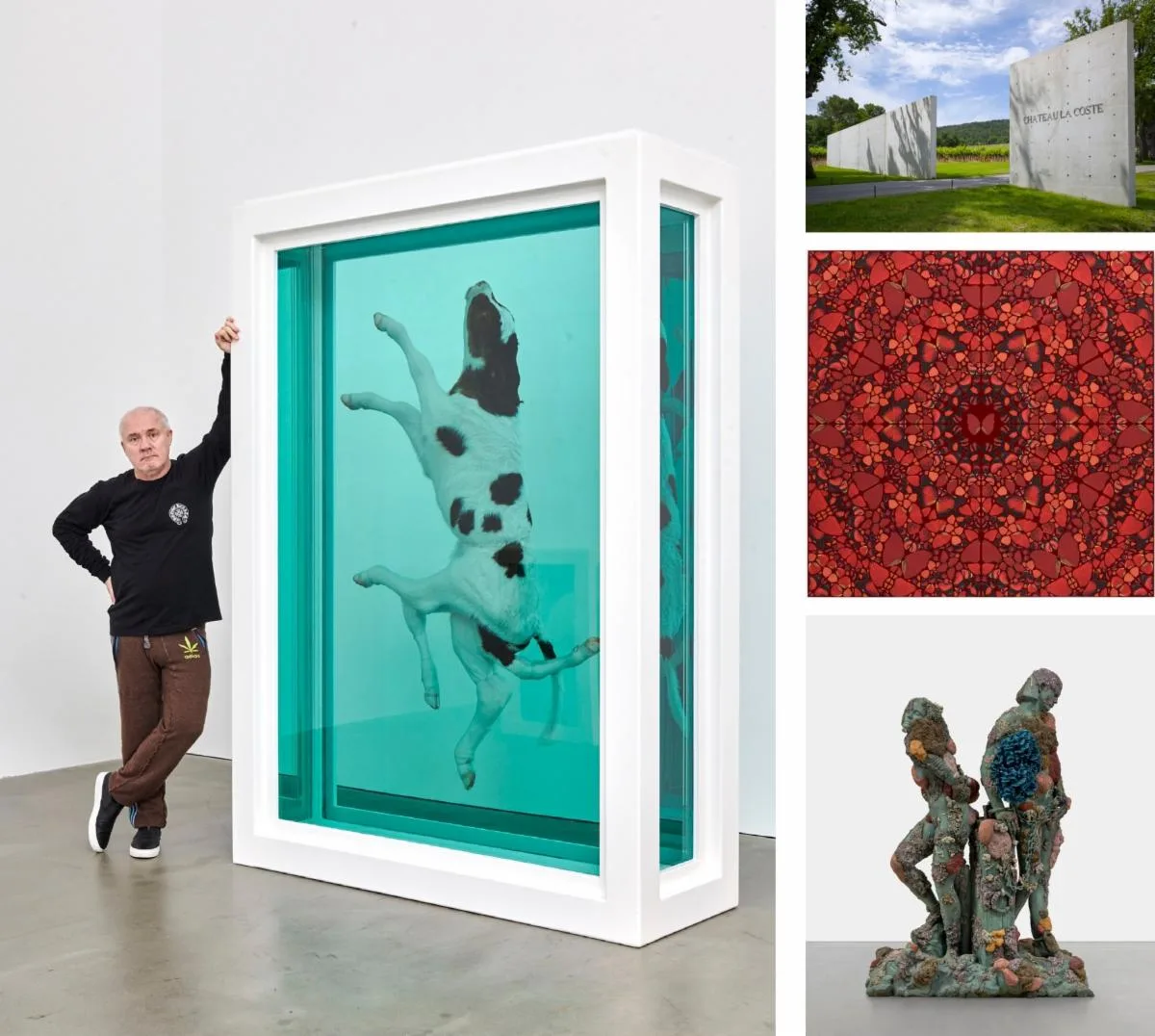 Anticipazioni 2024 | Damien Hirst, opere mai esposte e capolavori noti  nella scenografica mostra nella tenuta del Château La Coste - Stile Arte